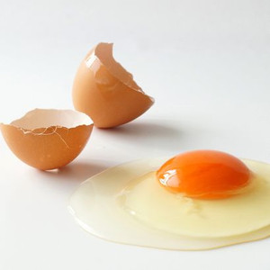 卵の黄身と白身