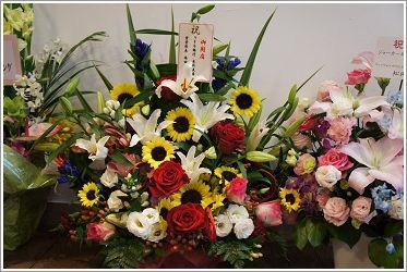 ブラボー！天才チェリン★-dream vega flowers