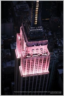 ブラボー！天才チェリン★-ドリームベガ the Empire State Building