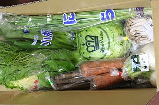 九州野菜