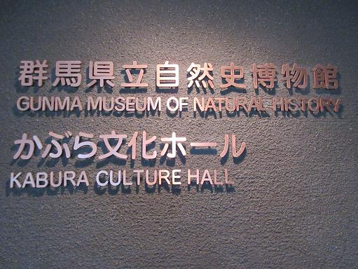 151114-052群馬県立自然史博物館(S)