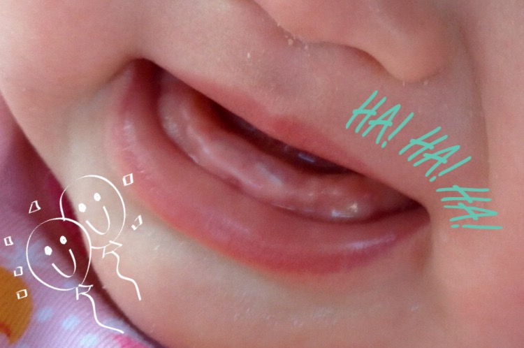 赤ちゃん 歯 が 生える